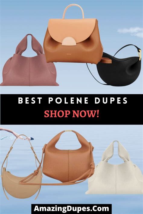 polene bags dupe.